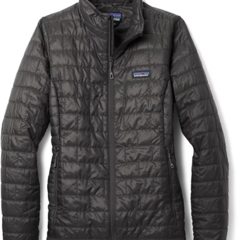 Patagonia Women’s Black Micro Puff 2018 model